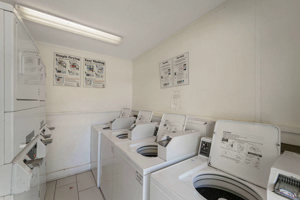 Newport-in-Dallas 30a